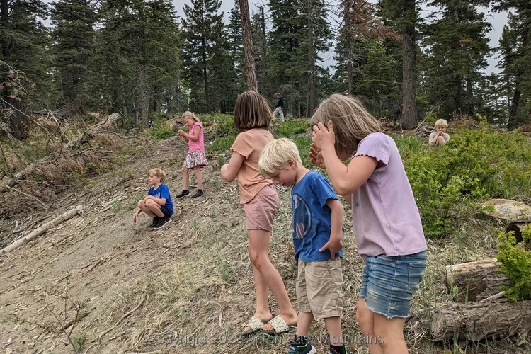 Learners at Acton Academy East Mountains private school in Cedar Crest, New Mexico playing outside in the Sandia National Forest.